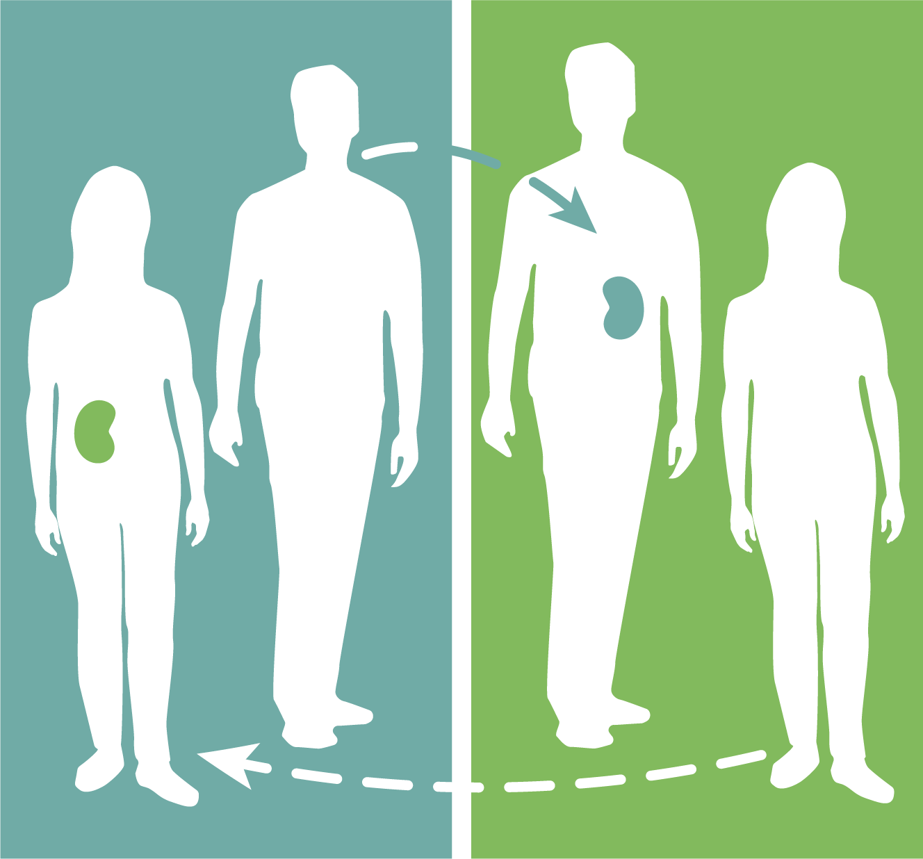 Understanding Paired Kidney Exchange Is It For Me? Alliance for Paired Kidney Donation